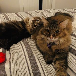 Meet your Posher, Stephanie